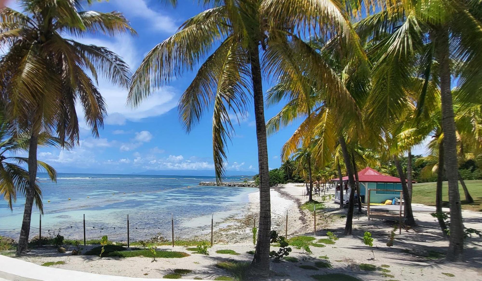 Studios Angoreva Vue Mer - Cote Plage Ou Jardin - Village Vacances - Sainte-Anne Guadeloupe Courcelles Luaran gambar