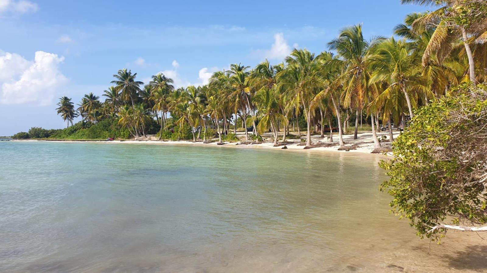 Studios Angoreva Vue Mer - Cote Plage Ou Jardin - Village Vacances - Sainte-Anne Guadeloupe Courcelles Luaran gambar